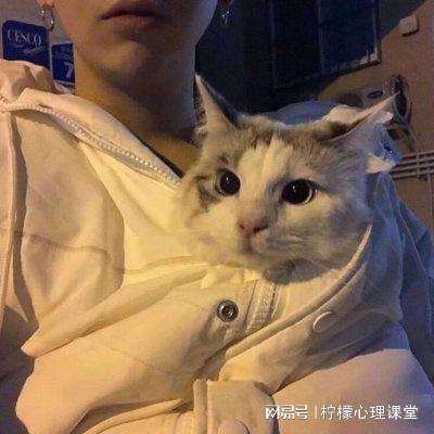 花季女友免费下载安装